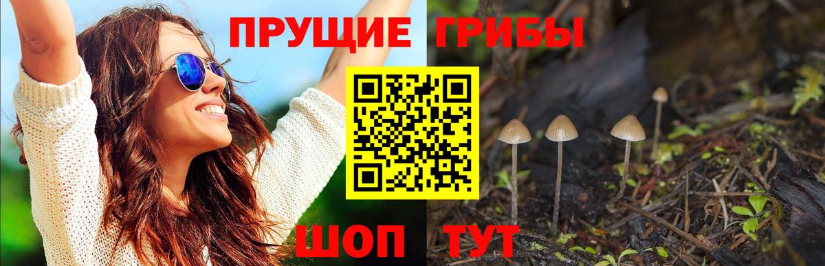 Гулькевичи  Псилоцибиновые грибы мухоморы  где купить   Галлюциногенные грибы Psilocybe  Вход с VPN 